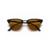 Imagen de Anteojos de sol RAY BAN 3016 CLUBMASTER 1309/33