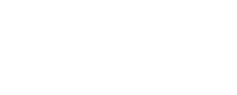 IMPERIUM SHOESS