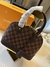 Bolsa L ALMA BB