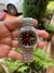 Reloj SEIKO 5 TORTUGA Automatico para hombre