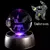 Pokémon 3D Crystal Ball