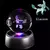 Imagem do Pokémon 3D Crystal Ball