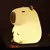 Luminária de Capivara Fofa