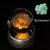 Imagem do Pokémon 3D Crystal Ball