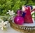 PERFUMES IMPORTADOS