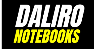 dalironotebooks