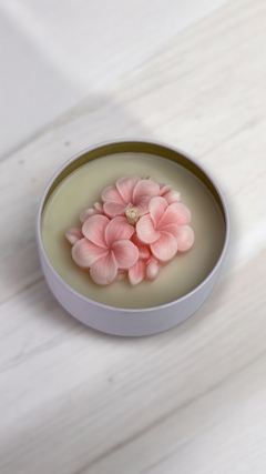 Vela Aromática Afeto lata 170g na internet