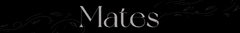 Banner de la categoría Mates