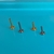 Haste Para Labret Titânio - comprar online