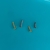 Haste Para Labret Titânio na internet