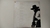 Bruce Spreengsteen - Born to Run na internet