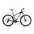 Raleigh Mojave 2.0