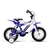Raleigh mxr r16