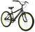 Olmo Mint R24