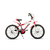 Raleigh mxr r20