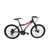 Raleigh scout R24