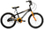 Olmo xcr r20
