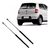 Kit De 2 Amortiguadores/brazos Portón Trasero Vw Suran Y Fox - comprar online