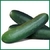 PEPINO VERDE MALLA GRANDE - comprar en línea