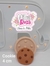 Molde Cookie 695 - comprar online