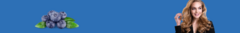 Banner de la categoría Arándano