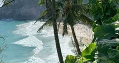 Banner da categoria FRESH