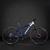 BICICLETA ZION ASPRO