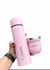 Combo Stanley Termo y Mate - comprar online