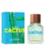 BENETTON UNITED DREAMS GREEN CACTUS FOR HIM EAU DE TOILETTE 100ML - comprar online