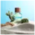 BENETTON UNITED DREAMS GREEN CACTUS FOR HIM EAU DE TOILETTE 100ML na internet