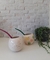 Mates burbuja - comprar online