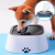 Bebedero Antiderrame Y Antideslizante Perros Y Gatos - buy online