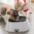 Bebedero Antiderrame Y Antideslizante Perros Y Gatos - SolShop