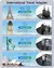 Imagem do Lencent-Adaptador Universal de Viagem, Carregador Tudo-em-um, 3 Portas USB, 1 Ca