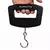Imagem do Balança Digital LCD portátil, bagagem, mala, manuseados, viagem, bagagem, bols