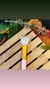 Pincel de Silicone
