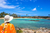 Ilha de Santo Aleixo Receptivo Prenatour - comprar online