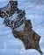 Body animal print
