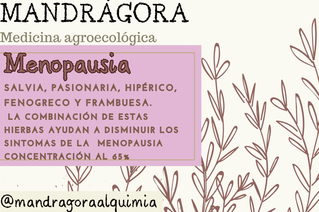 Menopausia