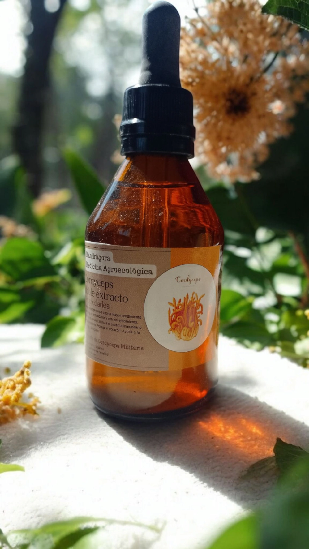 Doble extracto de Cordyceps x 60ml.