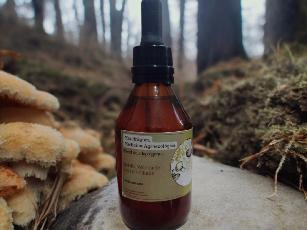 Blend de Adaptógenos x 60 ml.