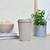 Vaso café rayado - tienda online