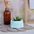 Maceta yeso chica - comprar online