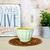 Bowl de cerámica vainilla - comprar online