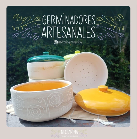 Germinador de semillas Simple