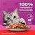 Sachê Whiskas carne 85g - comprar online