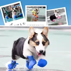 Botas de Borracha Impermeáveis para Pets – Proteção e Conforto