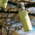 BOTELLA TO-GO 1lt STANLEY - comprar online