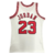 Chicago Bulls HWC Retrô 97/98 - Masculina - Branca - LM Fanatics | CAMISAS DE FUTEBOL E BASQUETE 