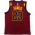 Cleveland Cavaliers Icon Edition 19/20 - Masculina - Vinho na internet